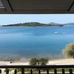 Aurelia Vodice