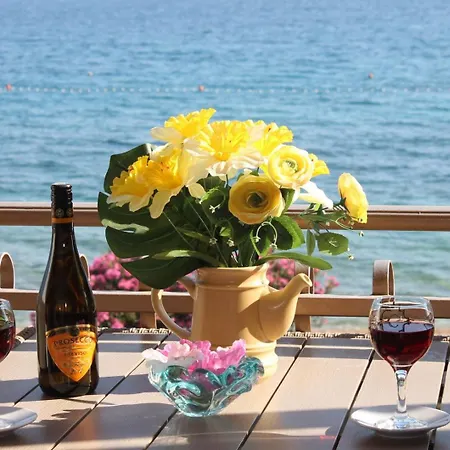 Aurelia Vodice