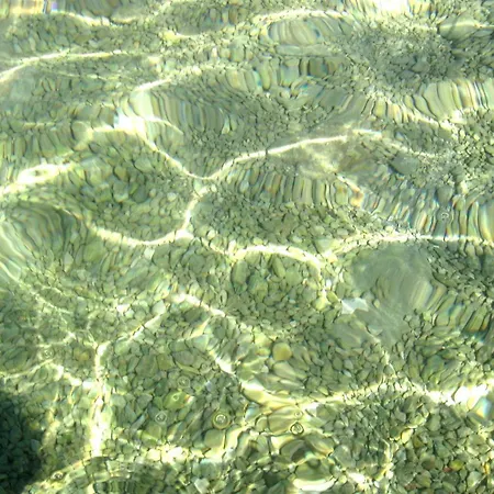 Aurelia * Vodice