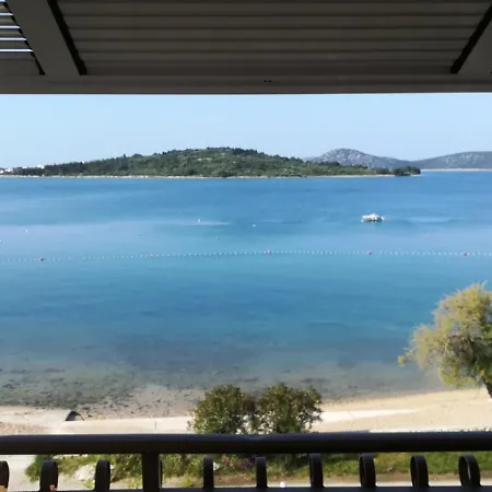 Aurelia Vodice