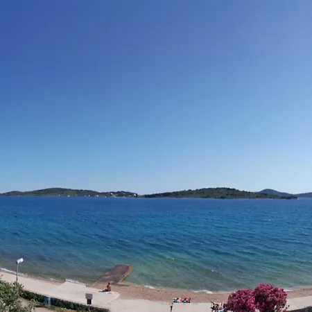 Aurelia Vodice