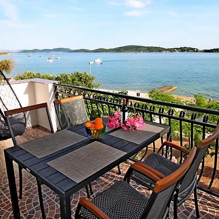 Aurelia Vodice