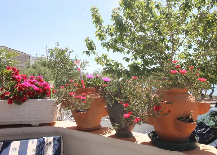 Apartments Aurelia Apartmán Vodice