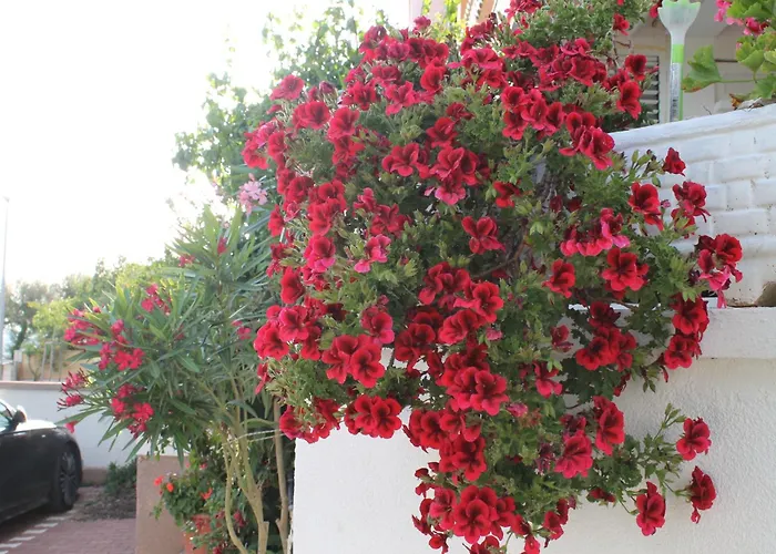 Villa Aurelia Vodice Appartamento