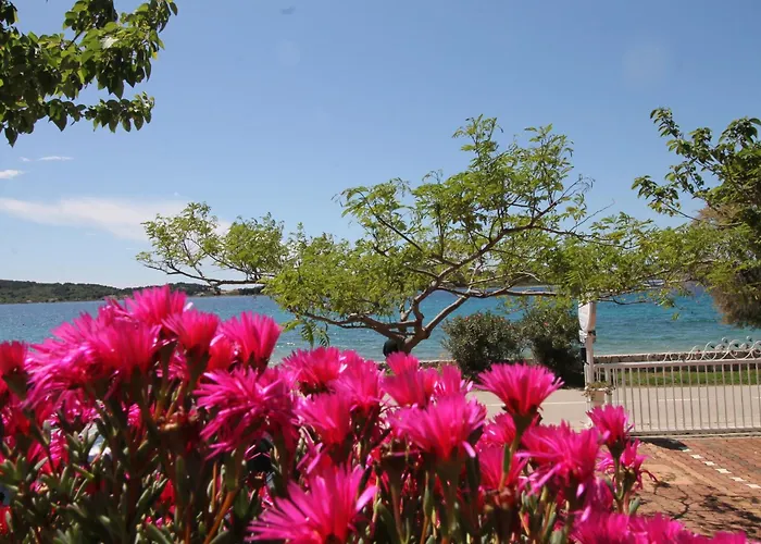 Aurelia Apartman Vodice